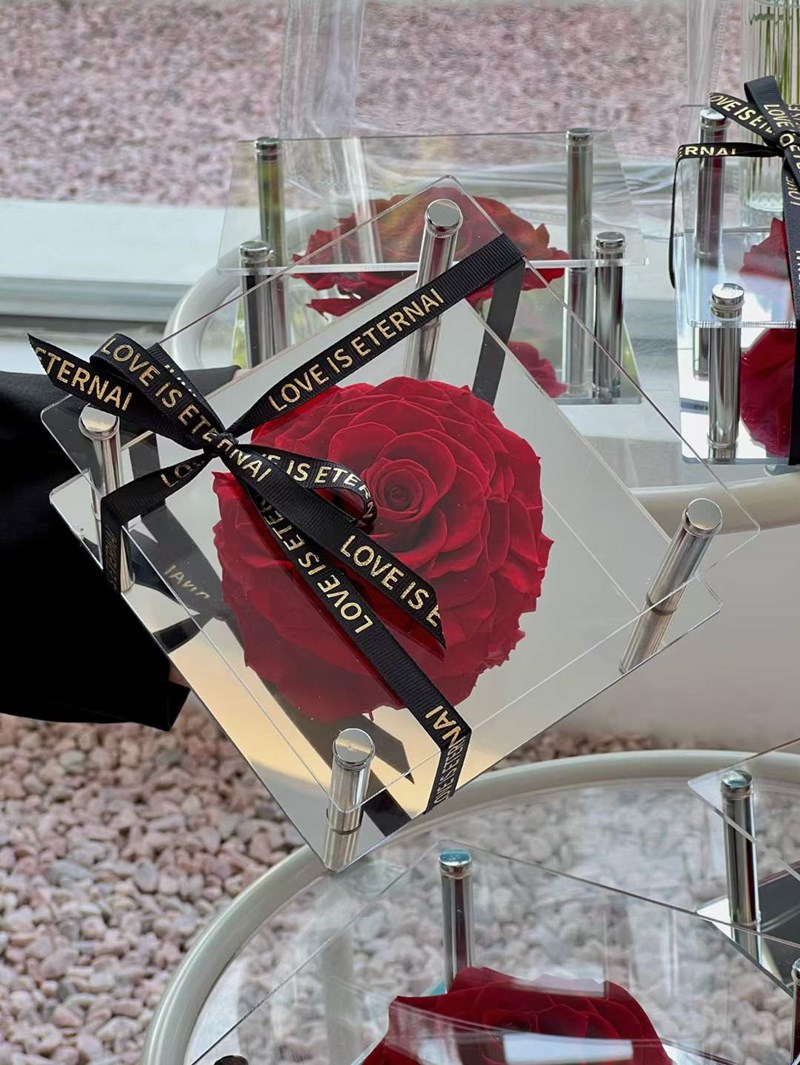 Big Rose Single Rose In Acrylic Gift Box Preserved Immortal Rose Flower Gifts Fo
