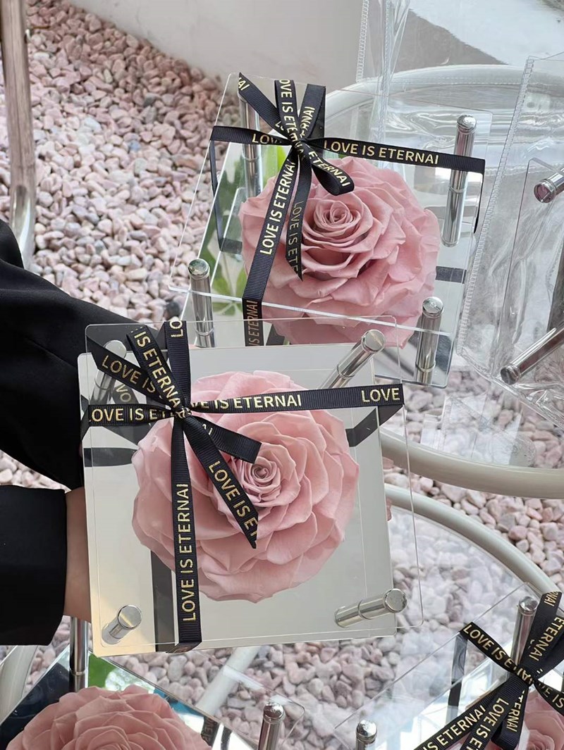 Big Rose Single Rose In Acrylic Gift Box Preserved Immortal Rose Flower Gifts Fo