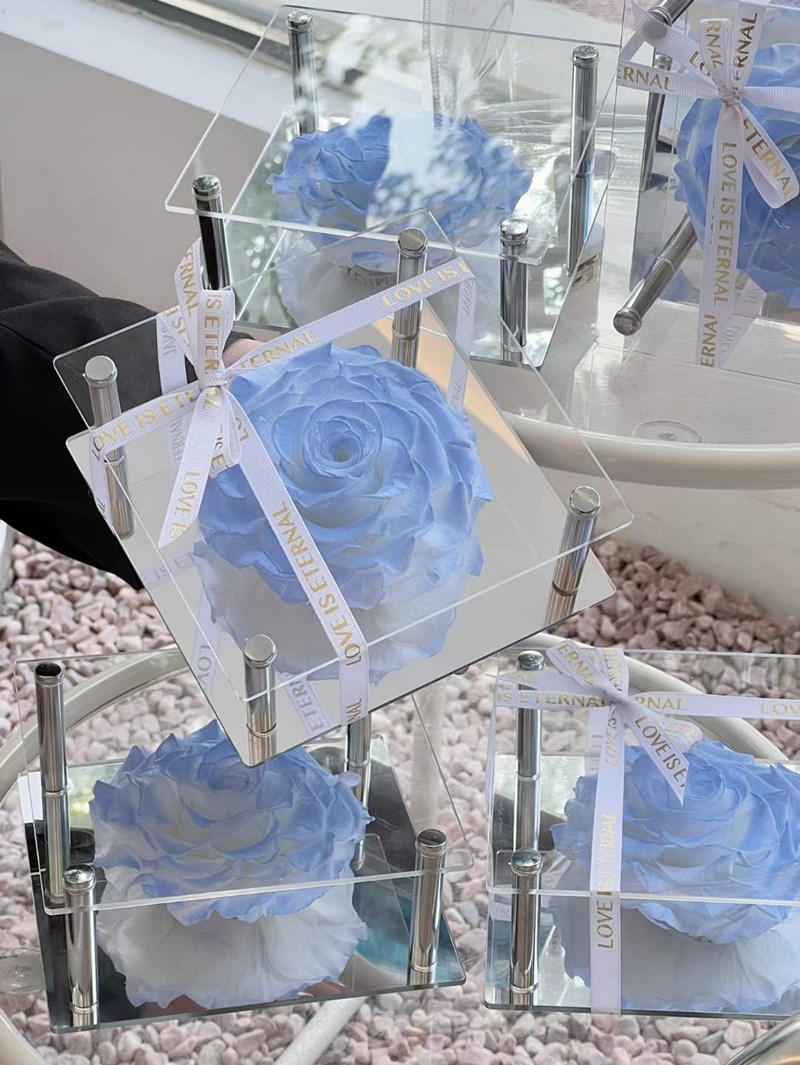 Big Rose Single Rose In Acrylic Gift Box Preserved Immortal Rose Flower Gifts Fo