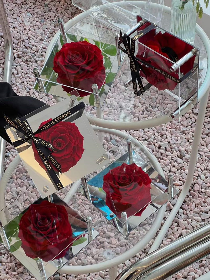 Big Rose Single Rose In Acrylic Gift Box Preserved Immortal Rose Flower Gifts Fo