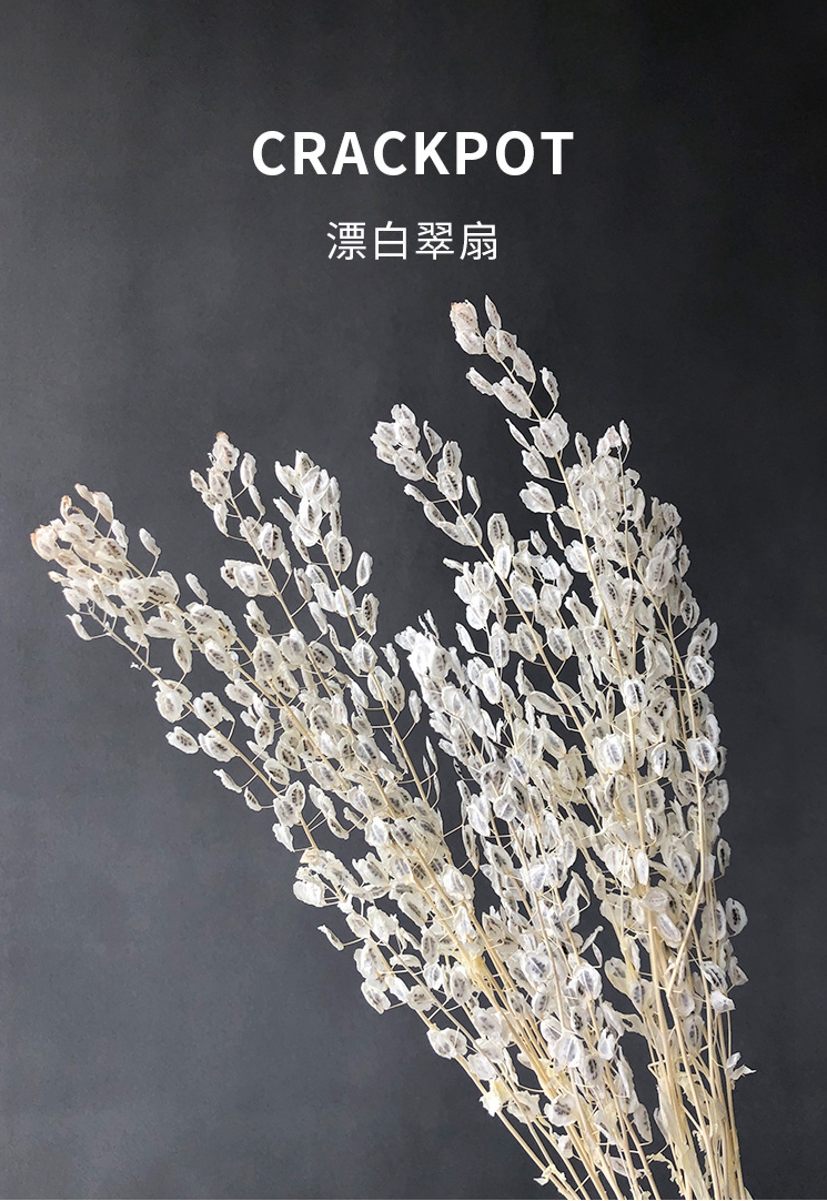 详情 1.jpg