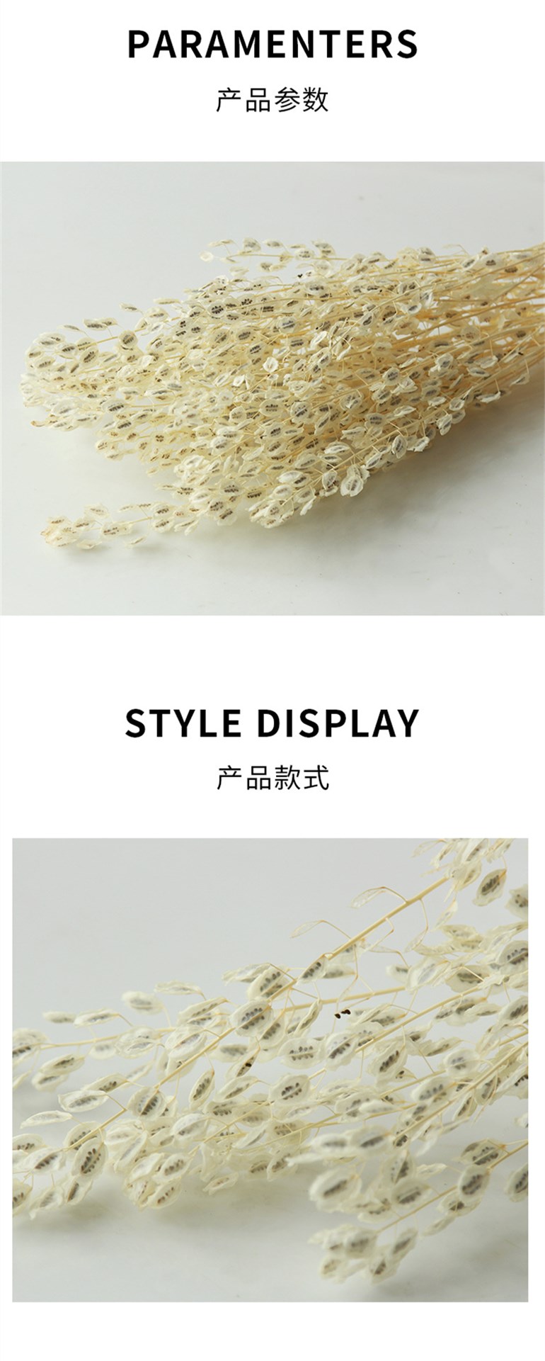 详情 2.jpg